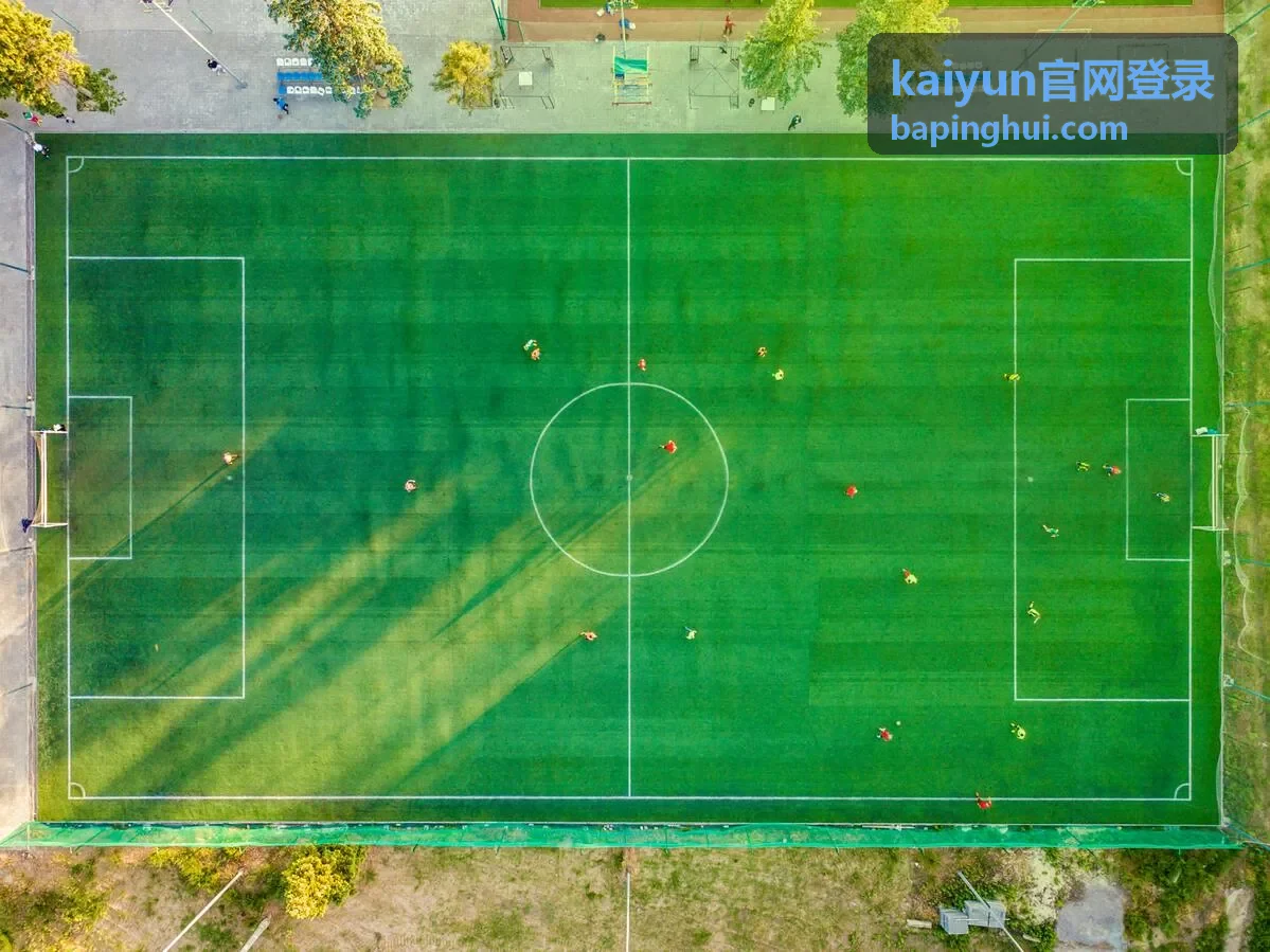 kaiyun官网登录开云登录入口操作指引